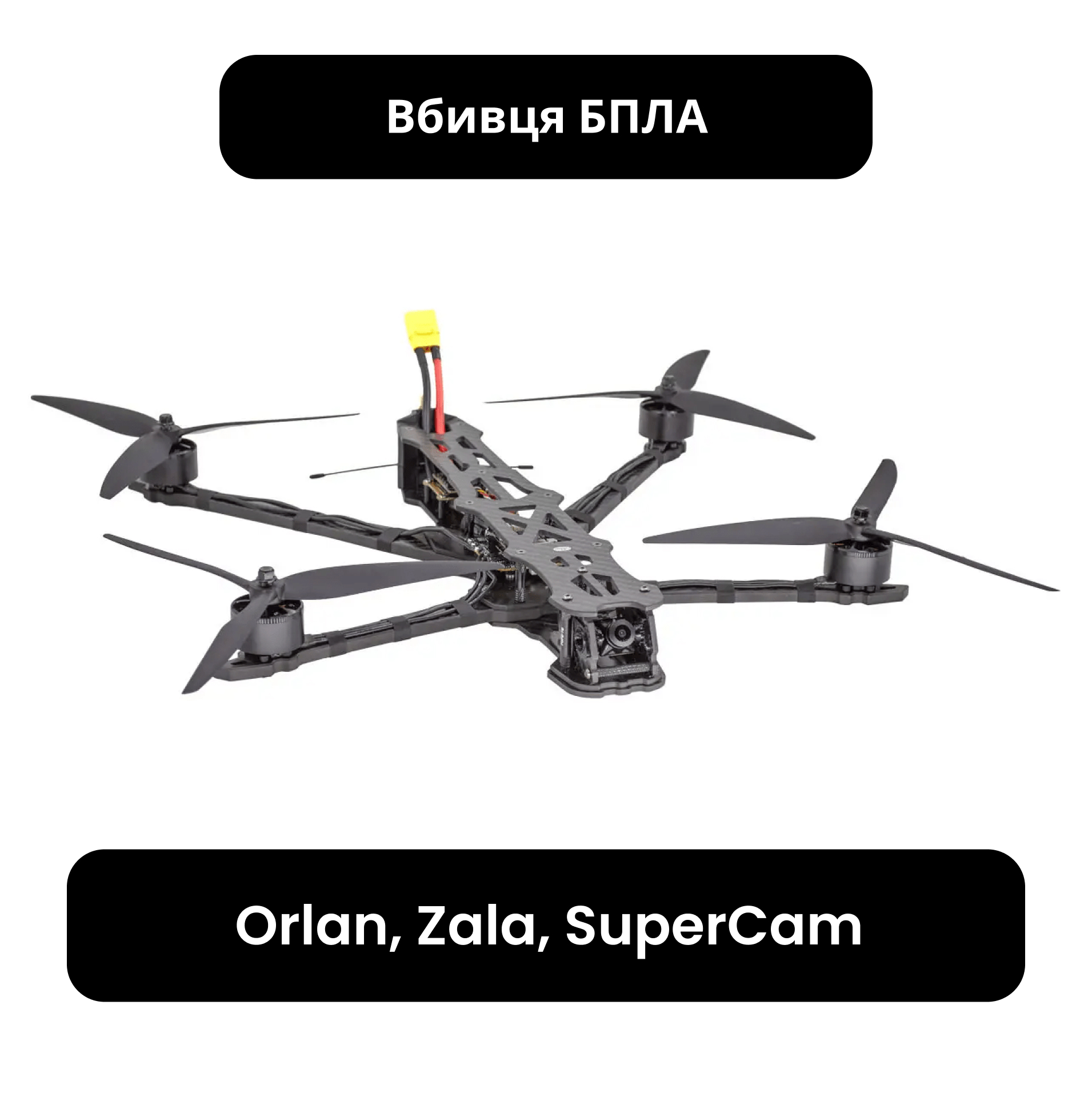 FPV Дрон проти БПЛА (Zala, Orlan, SuperCam) - WINFLY 10 Hunter